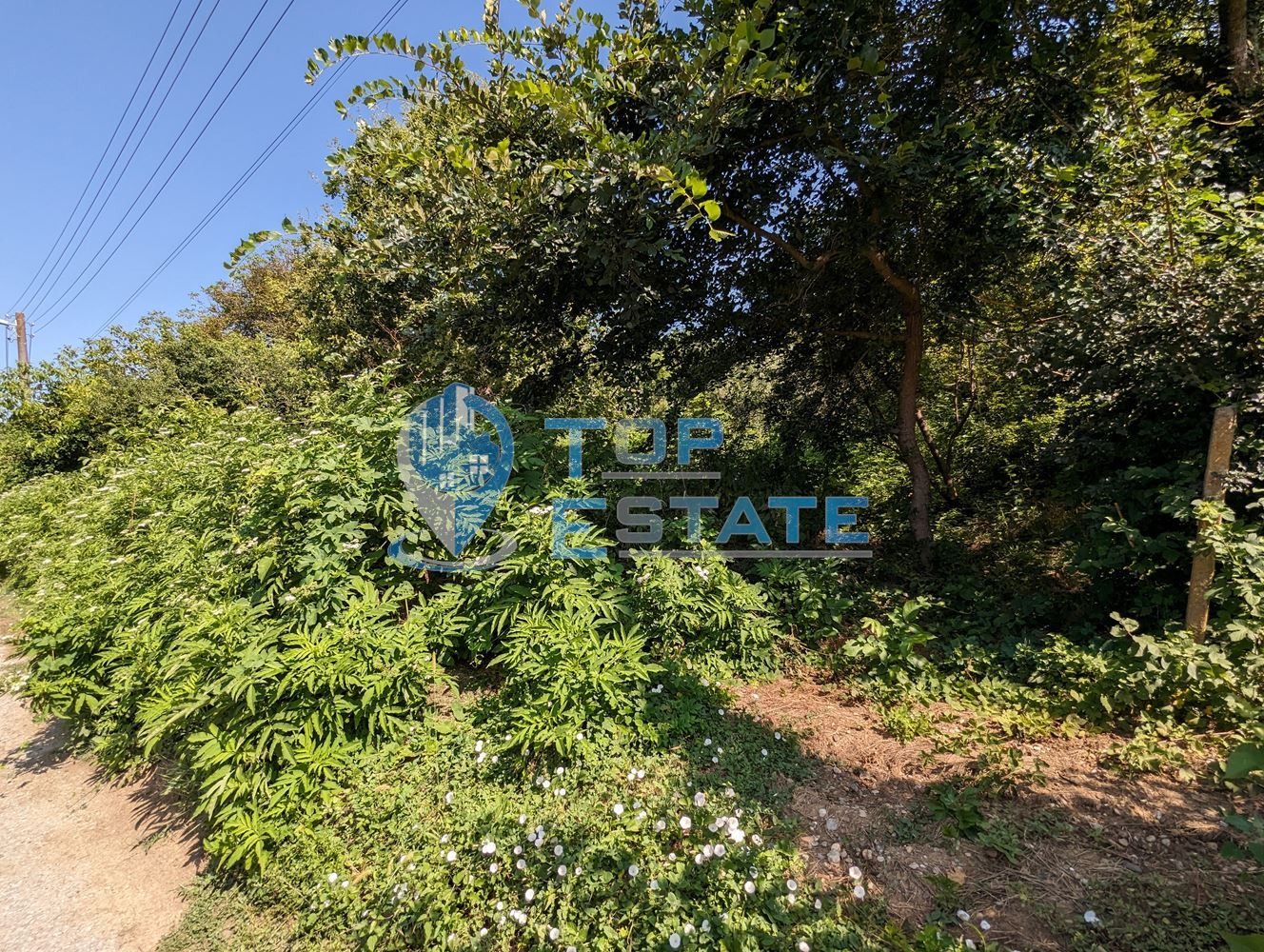 Продава ПАРЦЕЛ | Imot.bg — изображение 7