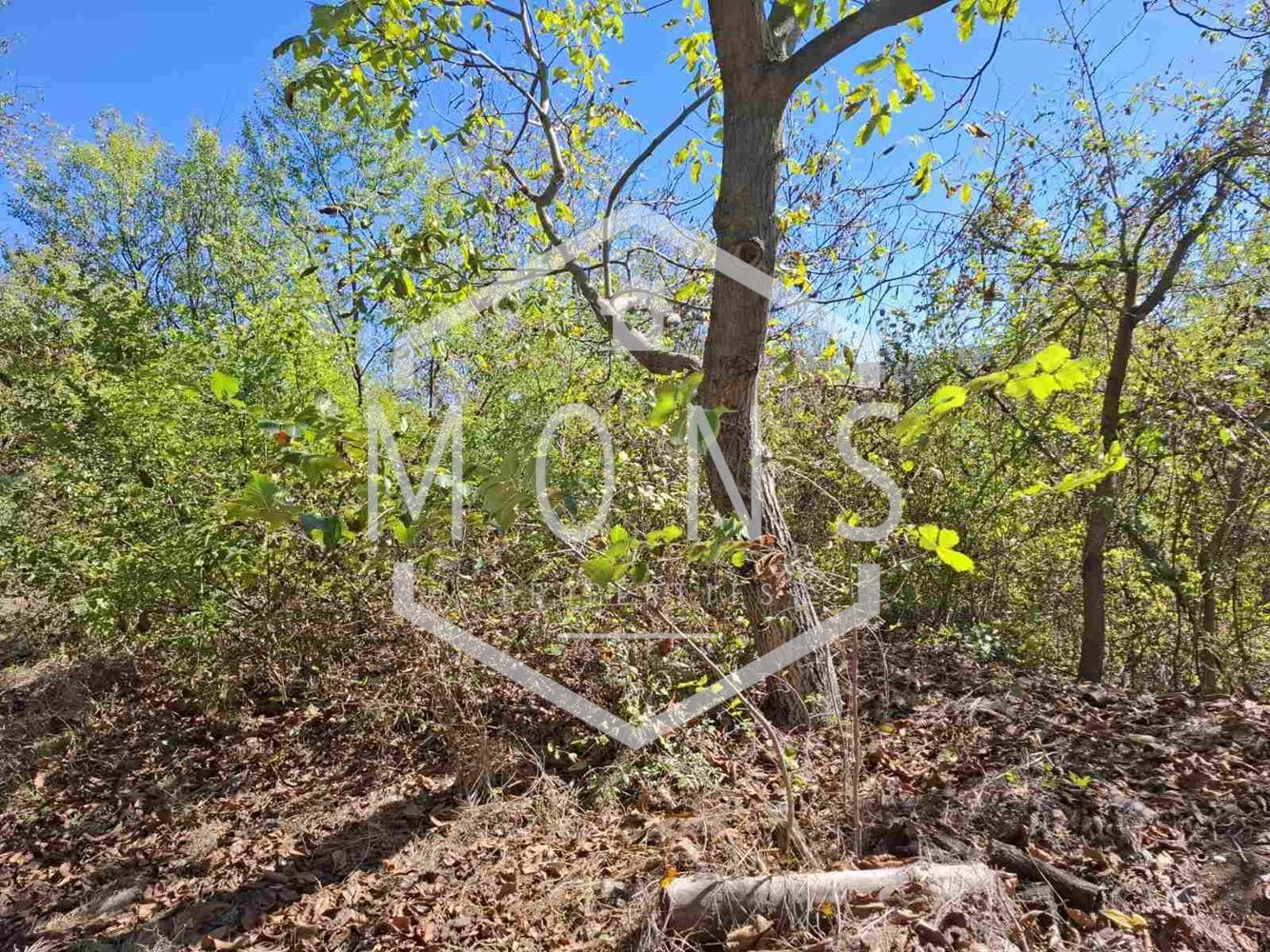 Продава ПАРЦЕЛ | Imot.bg — изображение 6