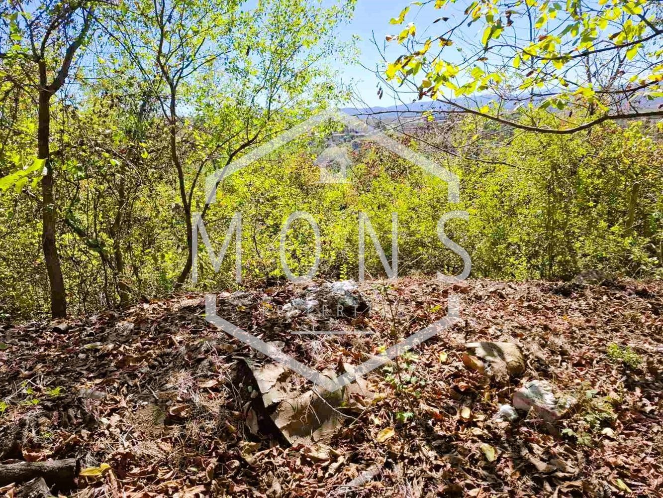 Продава ПАРЦЕЛ | Imot.bg — изображение 11