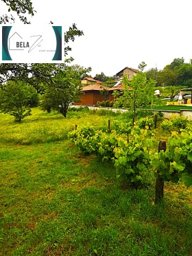 Grund Dolna Dikanya, region Pernik