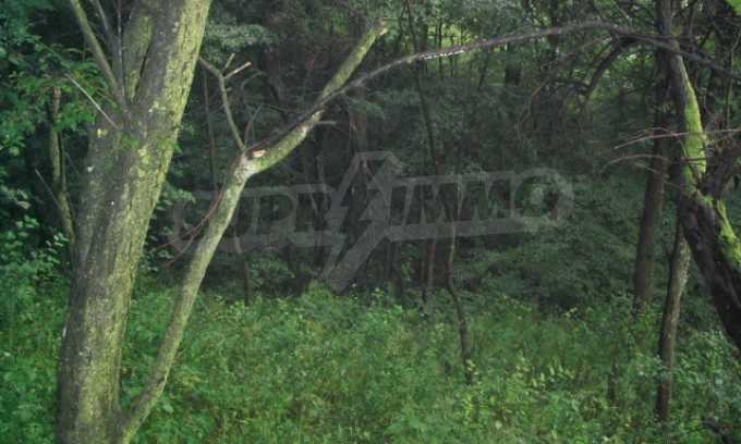 Продава КЪЩА, с. Куманите, област Габрово, снимка 6 - Къщи - 52096426