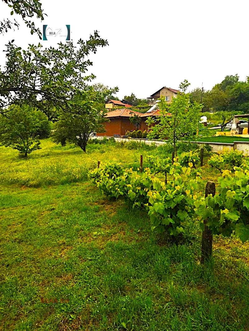 Til salg  Grund region Pernik , Dolna Dikanya , 1200 kvm | 51327487