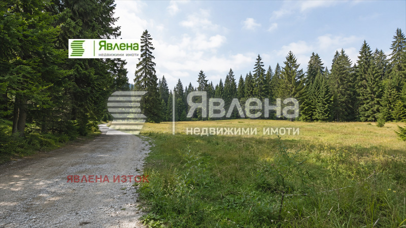 Продава ПАРЦЕЛ, к.к. Боровец, област София област, снимка 3 - Парцели - 55437352
