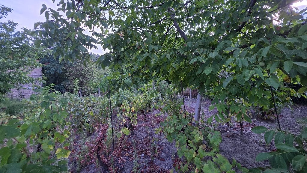 Продава КЪЩА, с. Долнослав, област Пловдив, снимка 5 - Къщи - 55875209