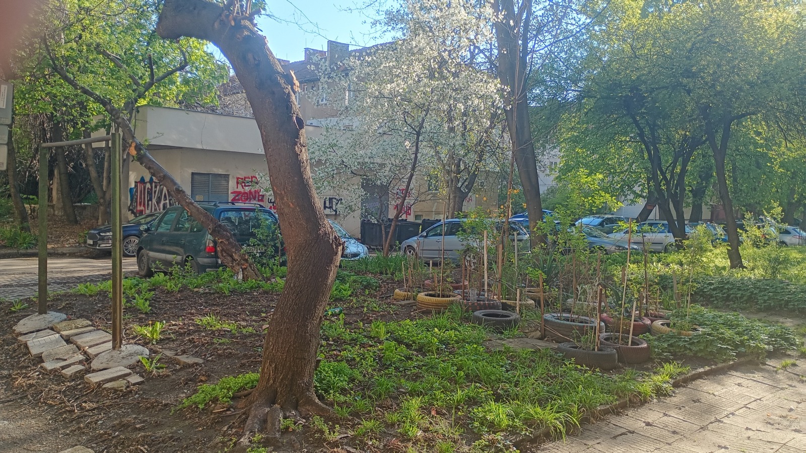 Продава МАГАЗИН, гр. София, Илинден, снимка 12 - Магазини - 54275434