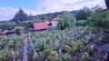 Продава КЪЩА, с. Долнослав, област Пловдив, снимка 4