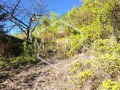 Продава ПАРЦЕЛ, област Велико Търново, с. Присово • 45000 лв. • 89714244 — Holmes.bg