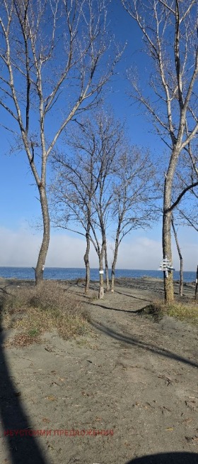 ������ ������� ������