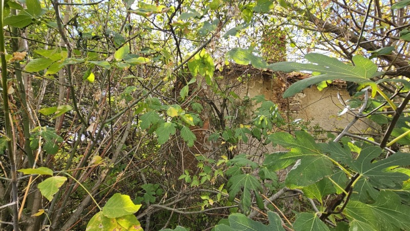 Til salg  Grund region Burgas , Nevestino , 653 kvm | 97543930 - billede [13]