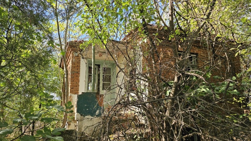 Til salg  Grund region Burgas , Nevestino , 653 kvm | 97543930 - billede [2]