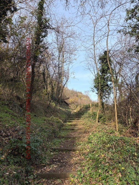 Продава ПАРЦЕЛ, гр. Ловеч, Център, снимка 9 - Парцели - 52631144