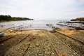 Продава ПАРЦЕЛ, с. Варвара, област Бургас, снимка 2