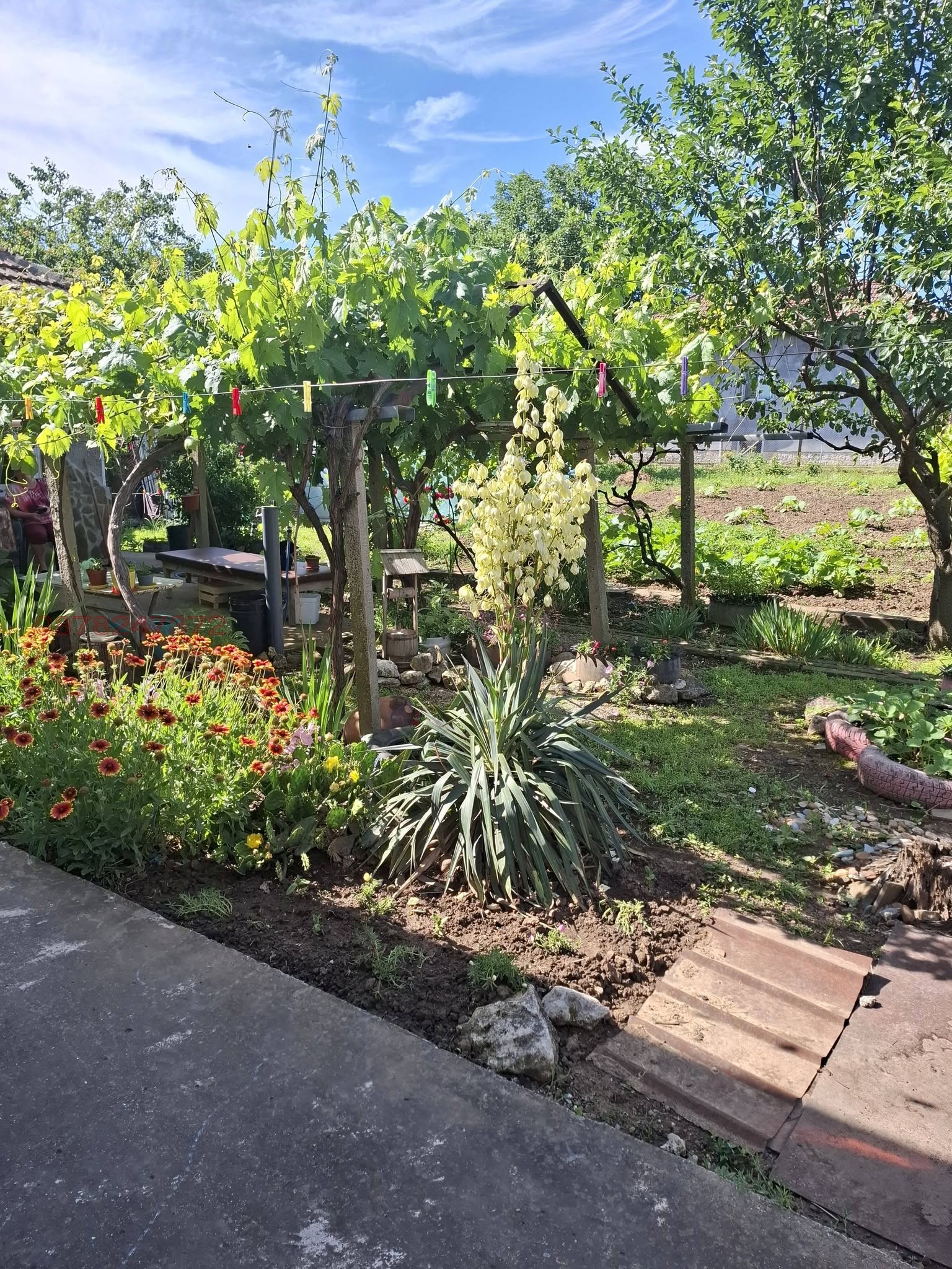 ������� ���� | Imot.bg � ����������� 4