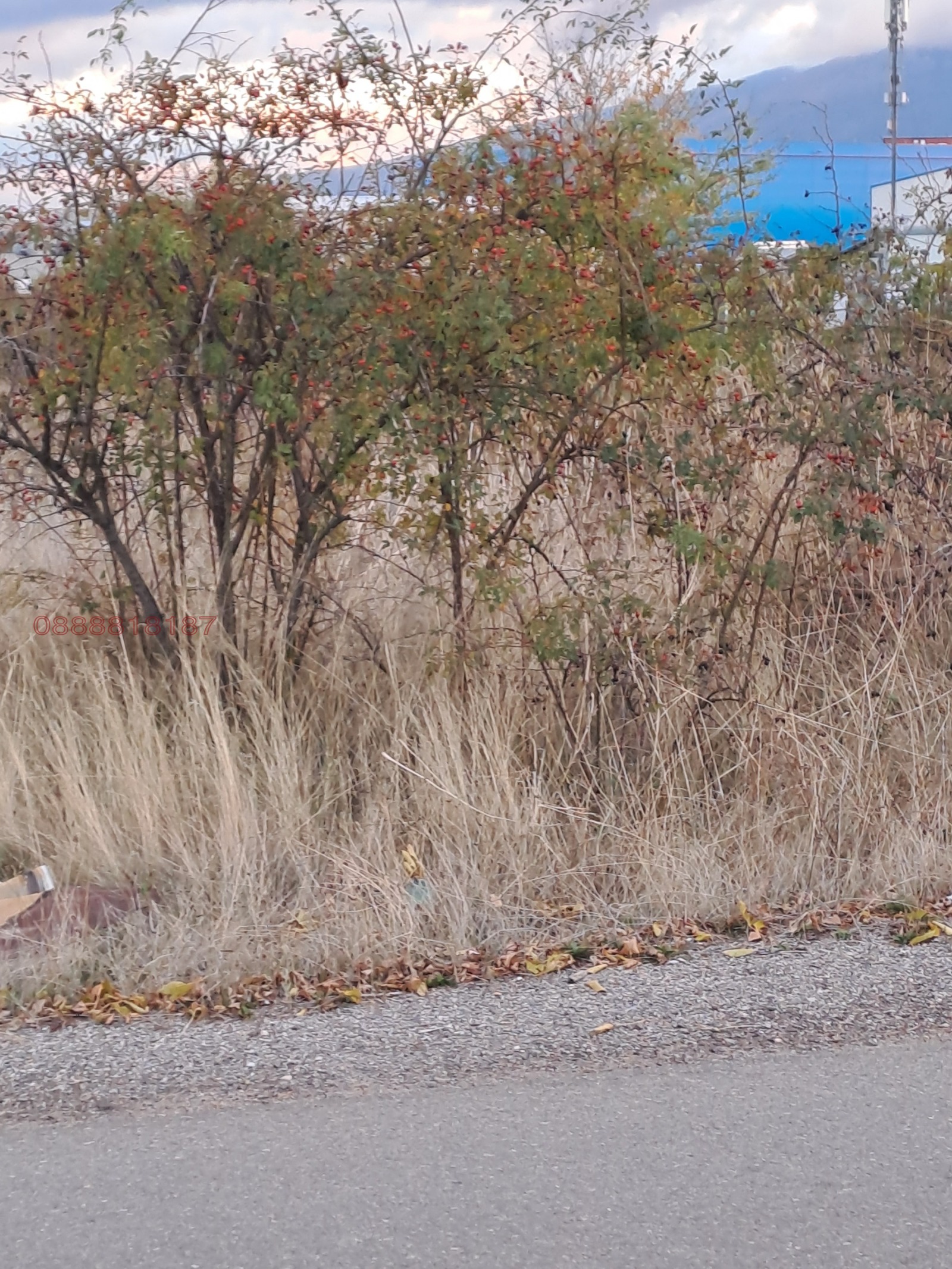 ������� ������ | Imot.bg � ����������� 15