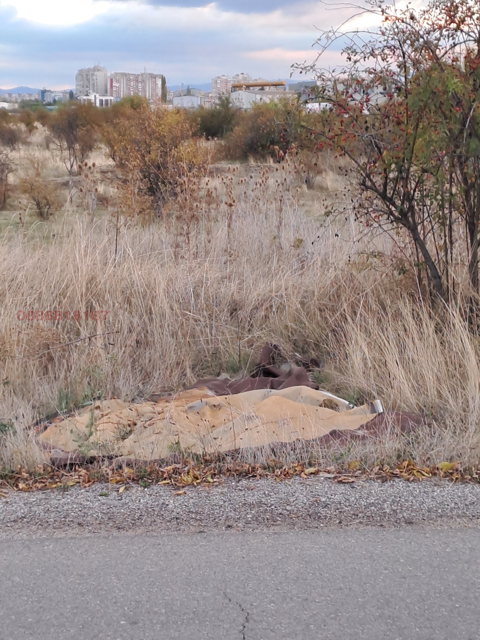 ������� ������ | Imot.bg � ����������� 14