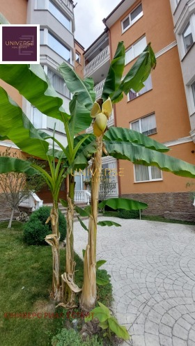 ������� 2-����� | Imot.bg � ����� ������ 14