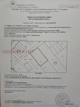 ����� ������� ������,���� �����, �����