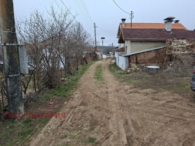 ����� ������� ������,�. ���������, ������ �����