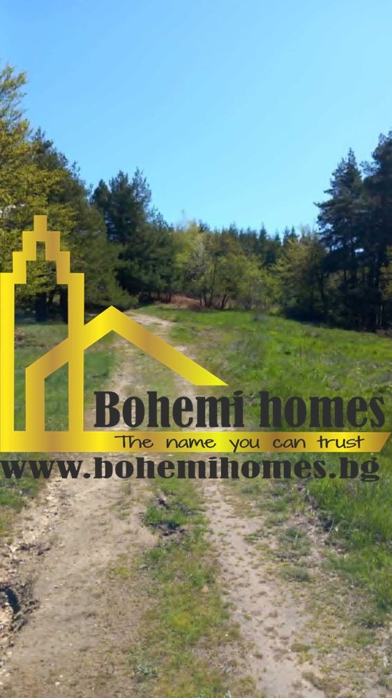 Продава ПАРЦЕЛ, с. Бойково, област Пловдив, снимка 2 - Парцели - 54849894