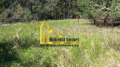 Продава ПАРЦЕЛ, с. Бойково, област Пловдив, снимка 3