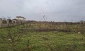 Продава ПАРЦЕЛ, с. Топола, област Добрич, снимка 1
