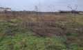 Продава ПАРЦЕЛ, с. Топола, област Добрич, снимка 2