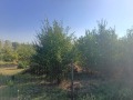 Продава ПАРЦЕЛ, гр. София, с. Лозен, снимка 5