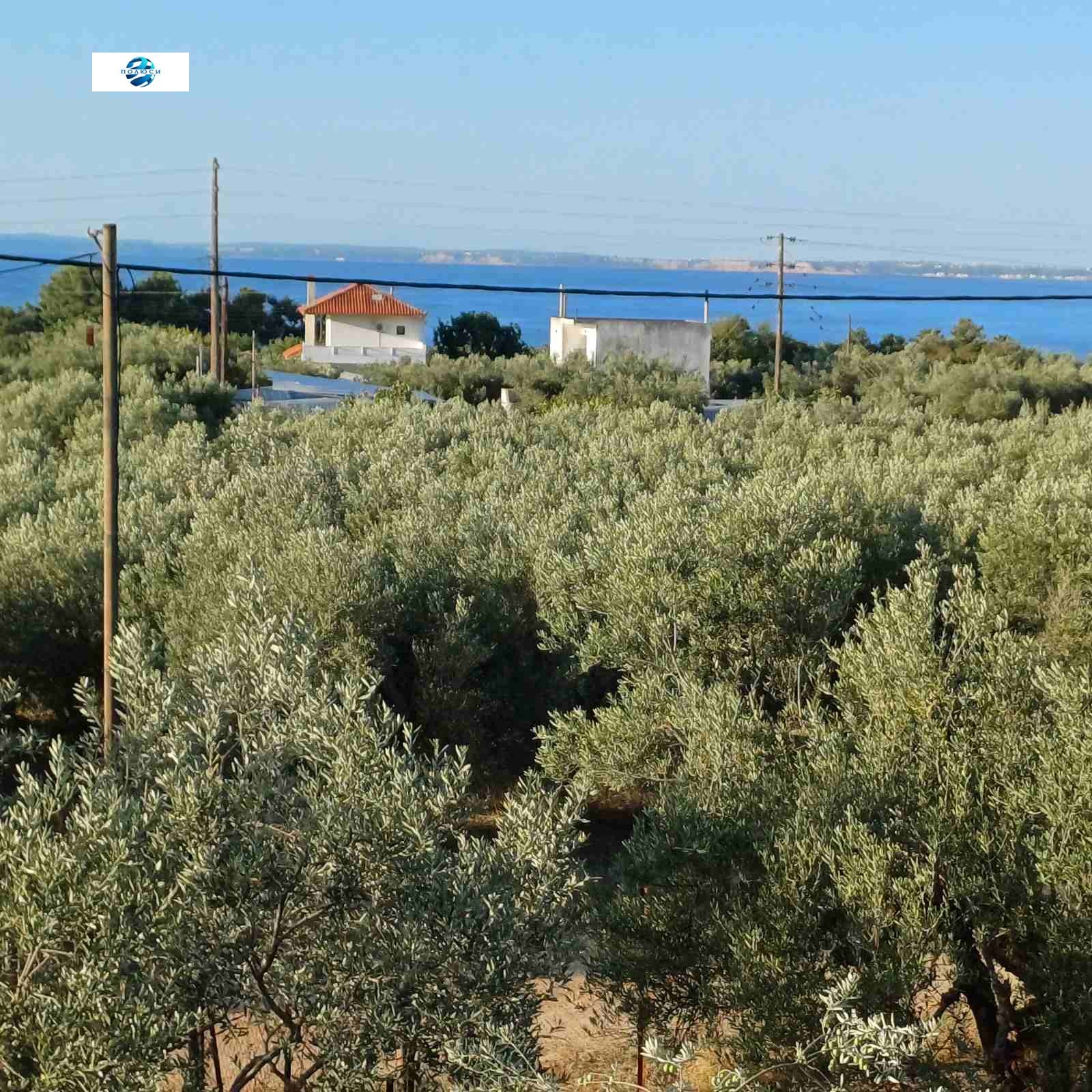 ������� ���� | Imot.bg � ����������� 1