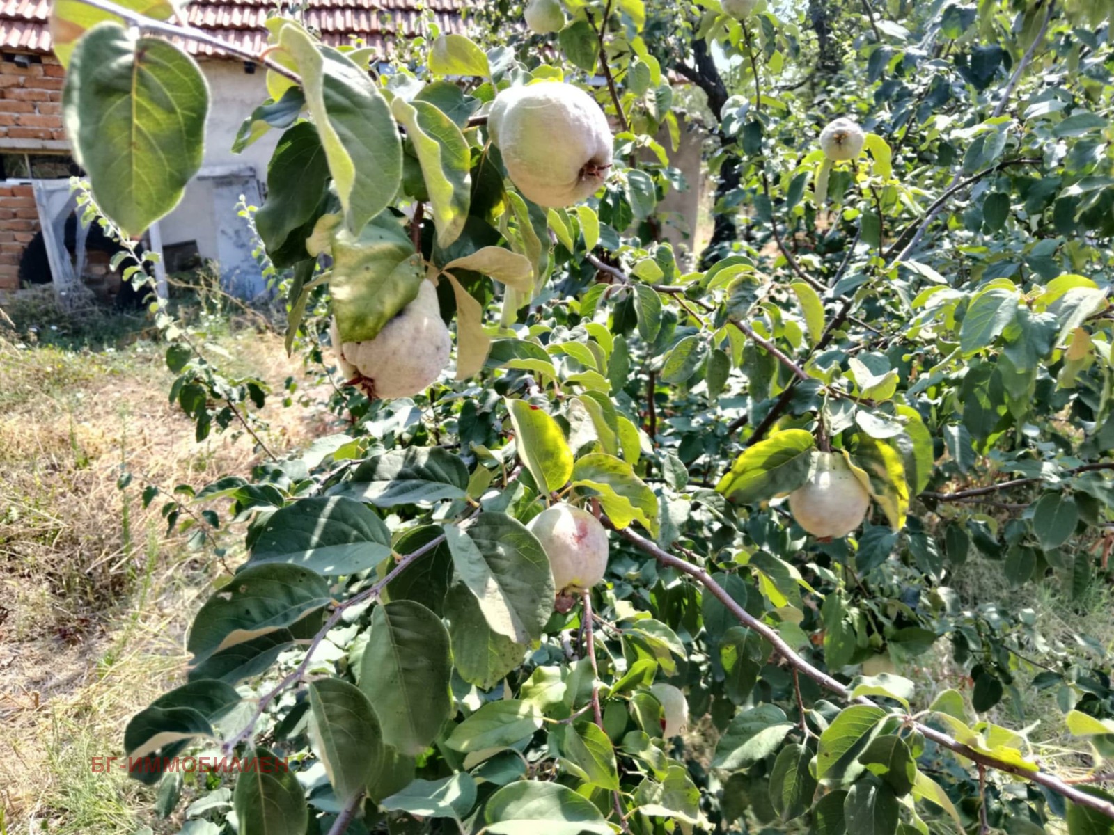 ������� ���� | Imot.bg � ����������� 12