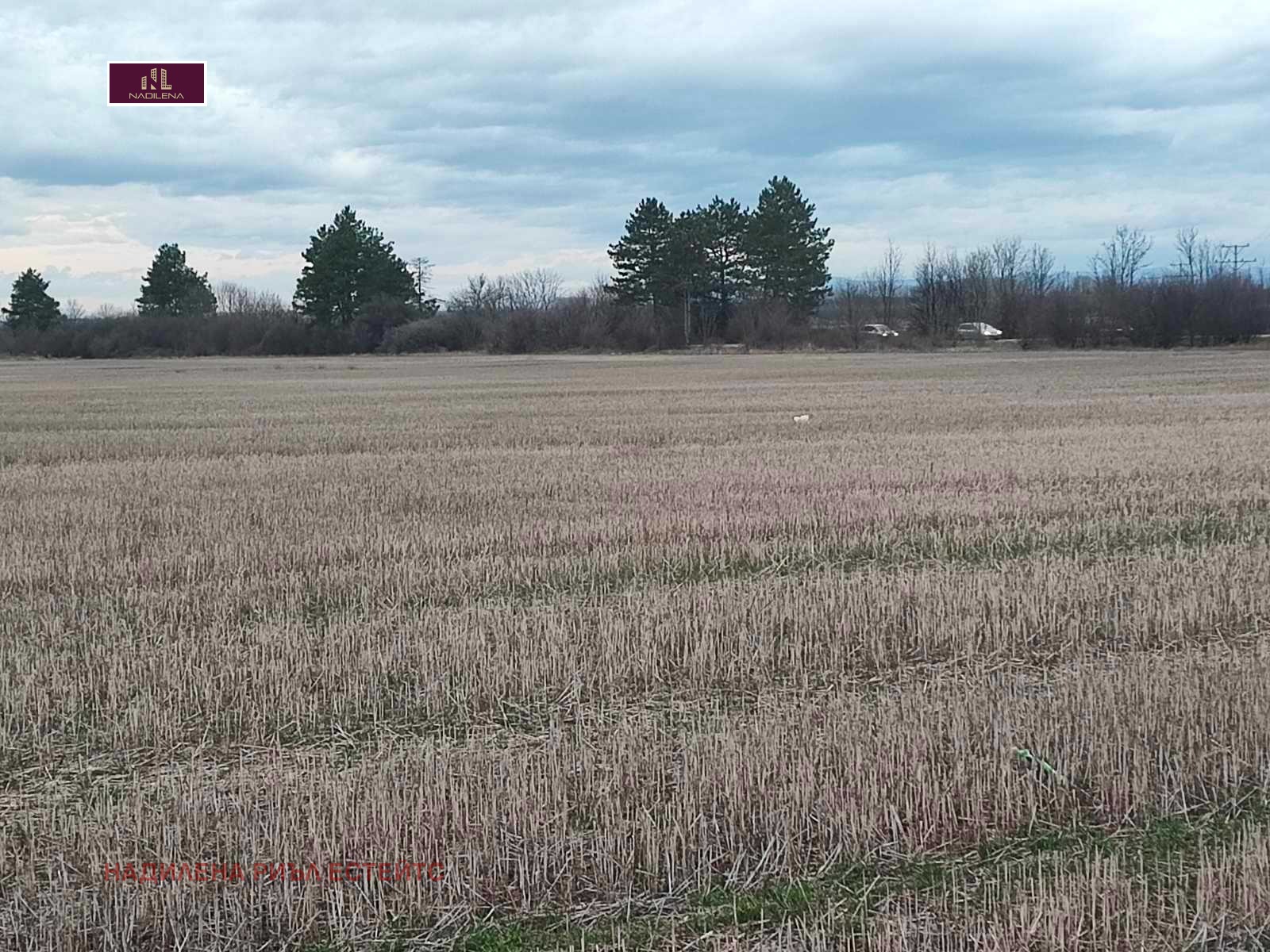 ������� ������ | Imot.bg � ����������� 6