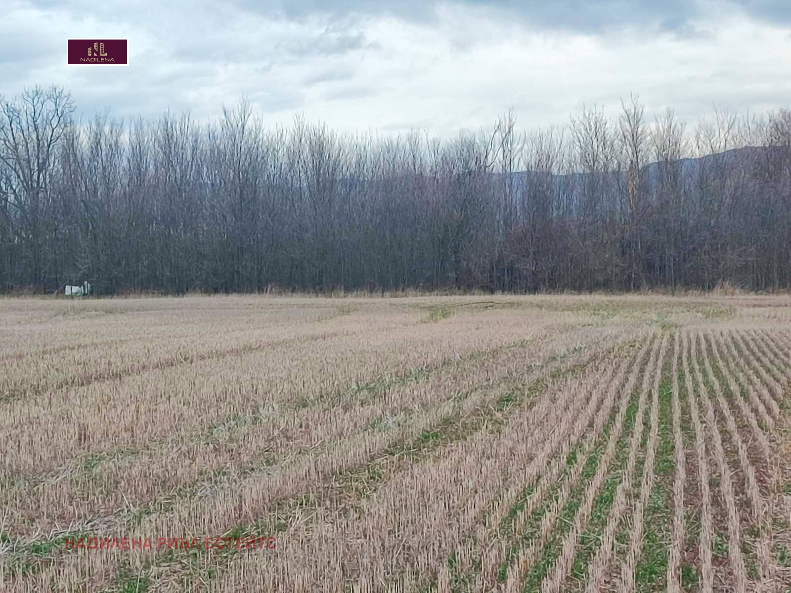 ������� ������ | Imot.bg � ����������� 4