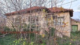 House Balgarevo, region Dobrich 3