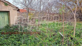 House Balgarevo, region Dobrich 2