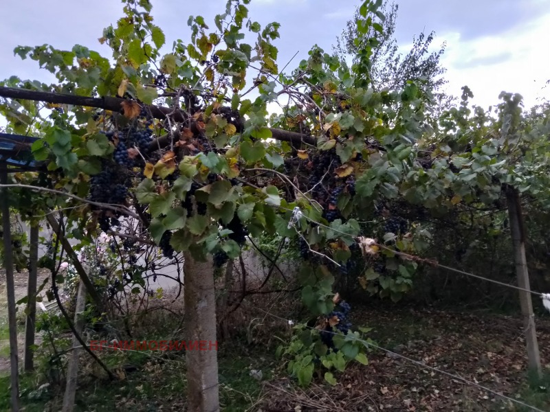 Продава КЪЩА, с. Якимово, област Монтана, снимка 7 - Къщи - 53256195