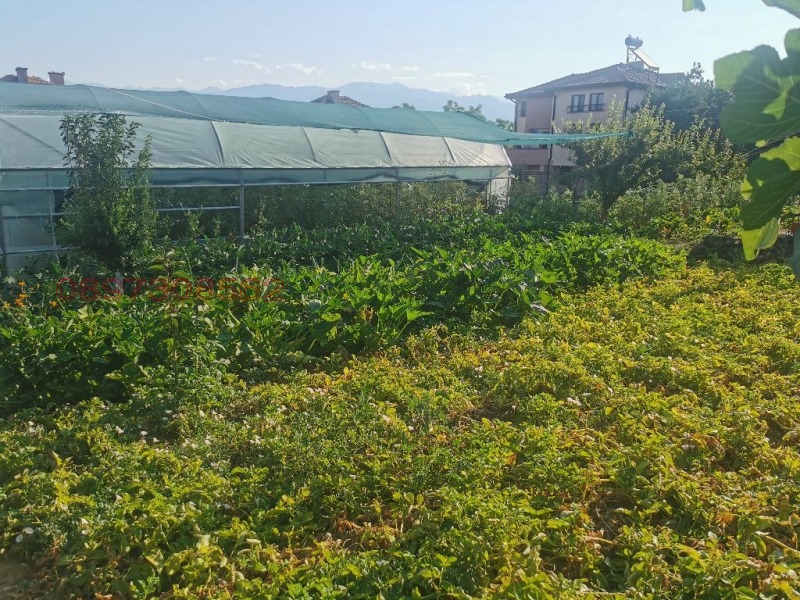 Продава  Парцел област Благоевград , с. Левуново , 1000 кв.м | 43748508 - изображение [5]