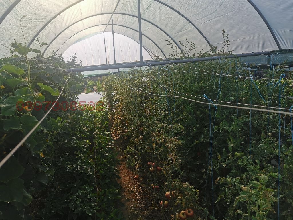 Продава ПАРЦЕЛ, с. Левуново, област Благоевград, снимка 7 - Парцели - 53976900