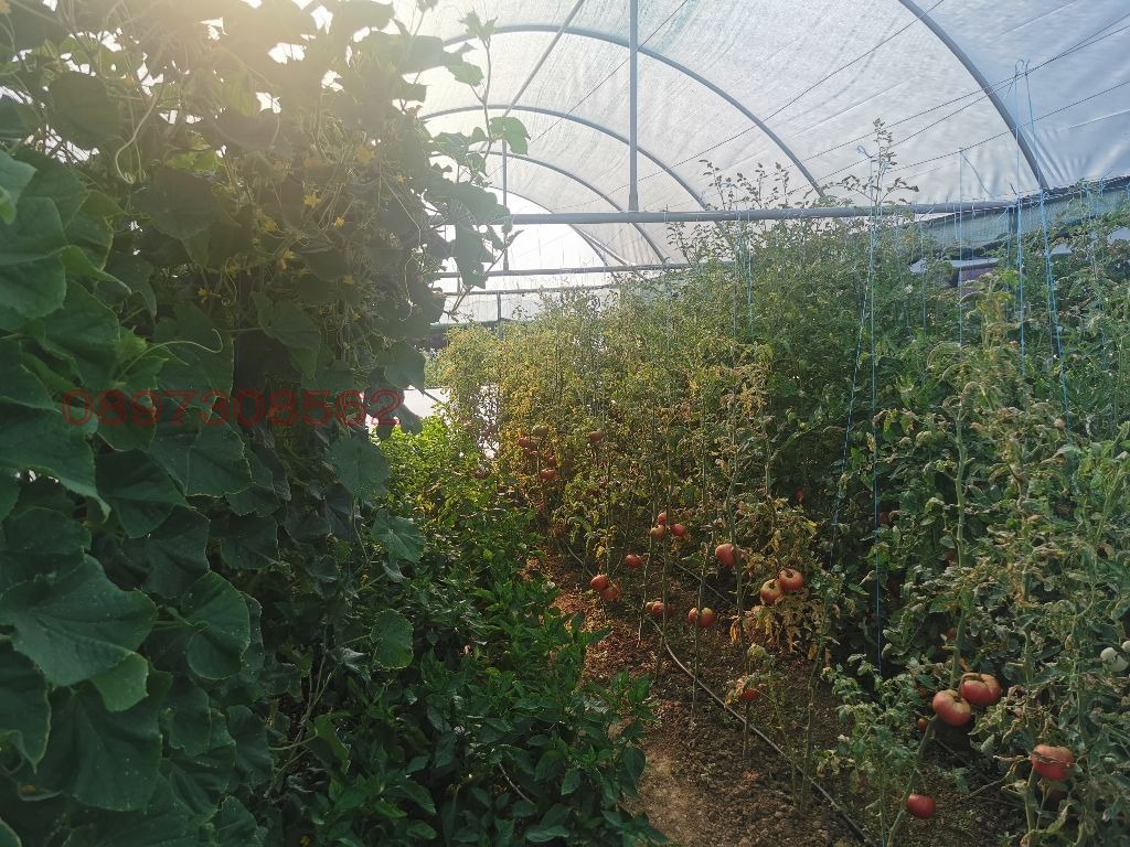 Продава ПАРЦЕЛ, с. Левуново, област Благоевград, снимка 6 - Парцели - 53976900