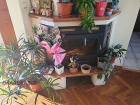 ������� 4-����� | Imot.bg � ����� ������ 5