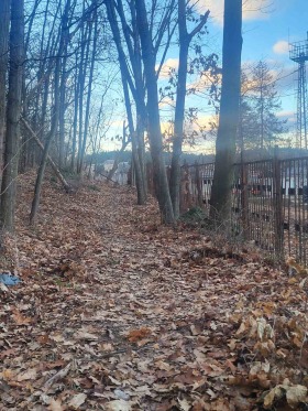 ����� ������� ������,���� �����, �-� ������ ����