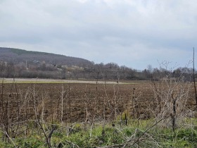 Land Obzor, regio Boergas 7