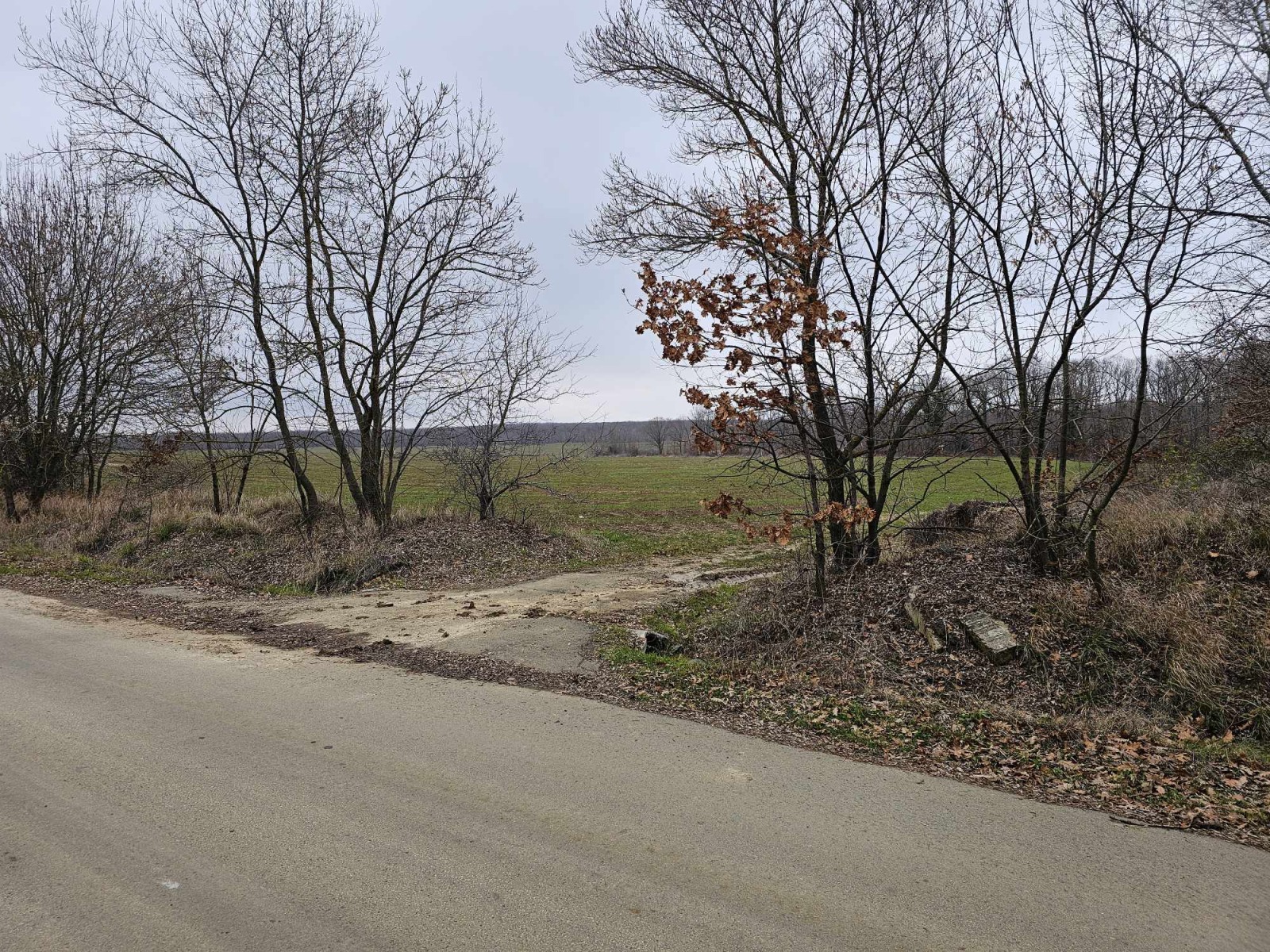 Продава ЗЕМЕДЕЛСКА ЗЕМЯ, гр. Обзор, област Бургас, снимка 2 - Земеделска земя - 53674185