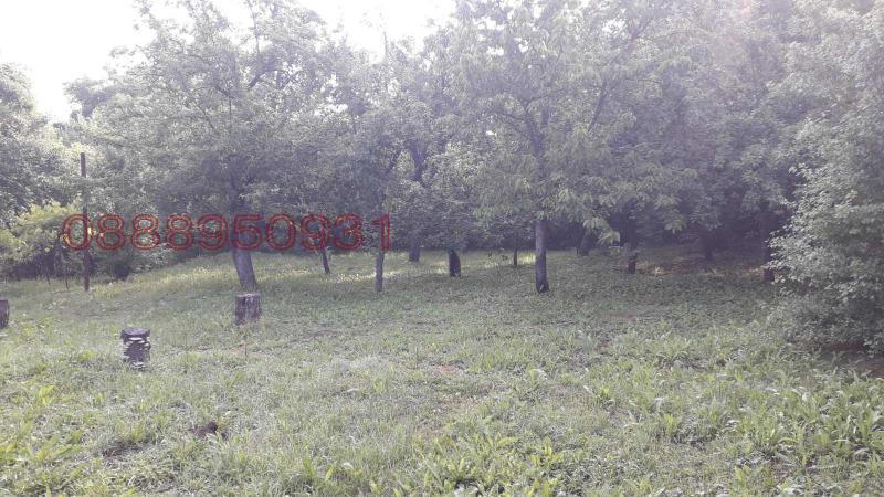 Продава КЪЩА, с. Грамаждано, област Кюстендил, снимка 6 - Къщи - 52779395