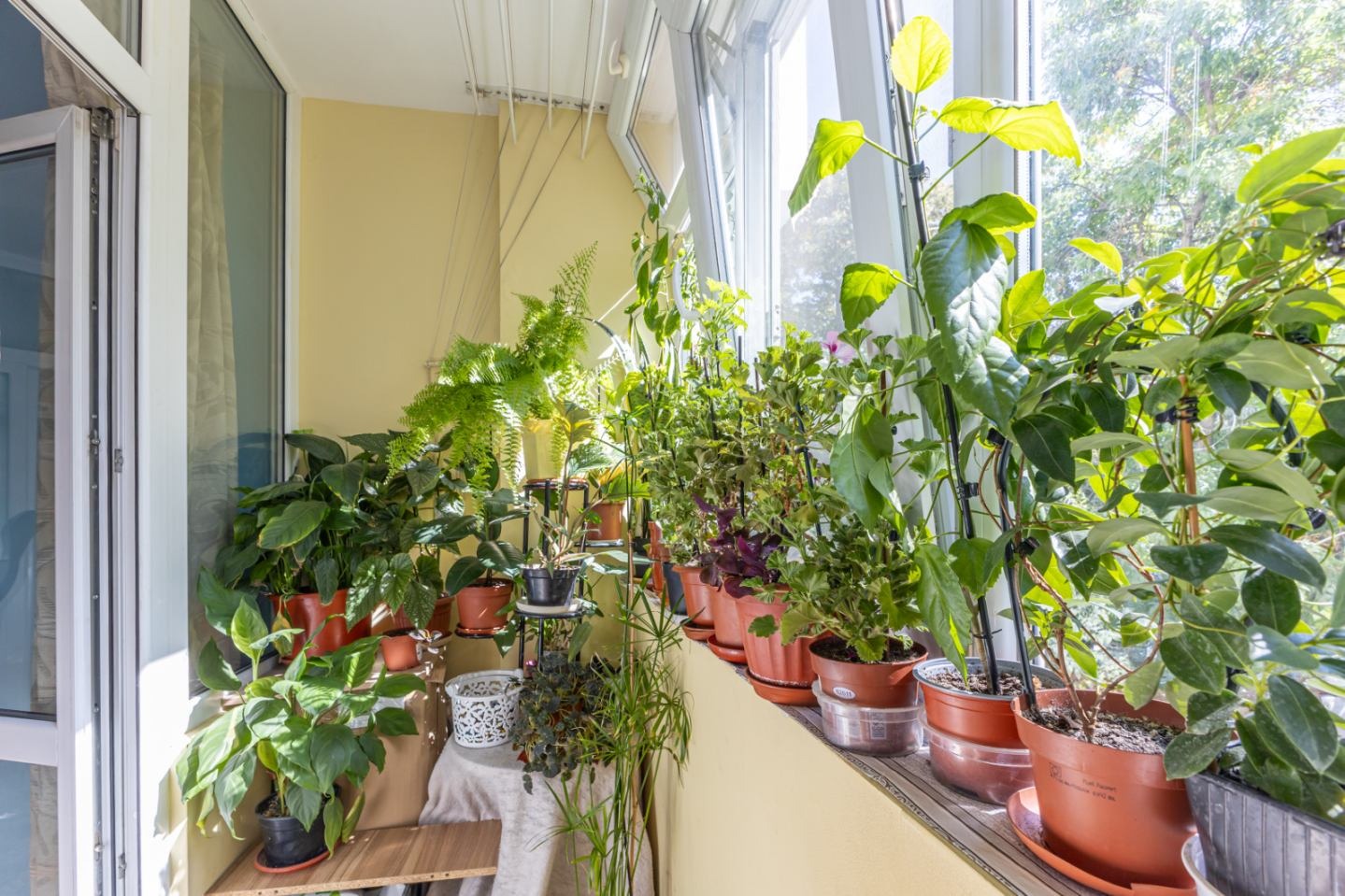 Продава МНОГОСТАЕН, гр. Варна, Лятно кино Тракия, снимка 7 - Апартаменти - 56234055