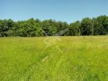 Продава ПАРЦЕЛ, област Пловдив, гр. Перущица • 21500 € • 34206275 — Holmes.bg