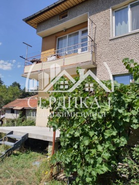 Hus Velingrad, region Pazardzhik 13