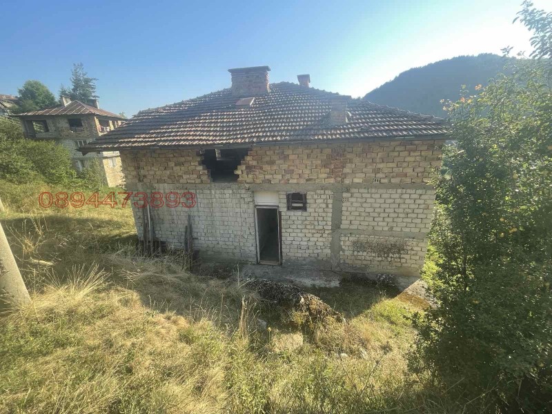 Продава КЪЩА, с. Давидково, област Смолян, снимка 5 - Къщи - 53065568