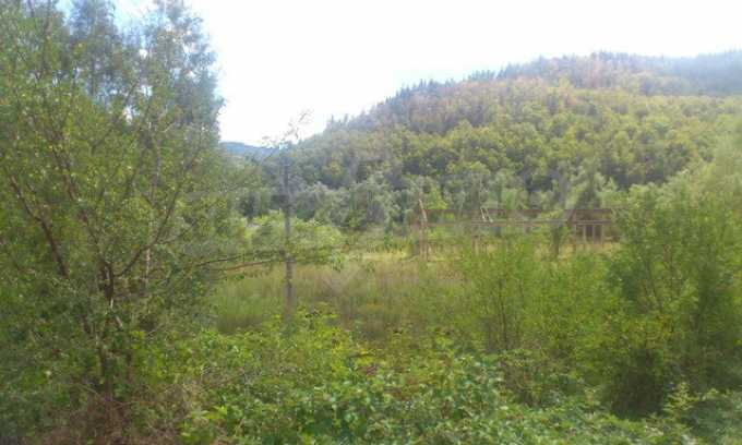 À vendre  Parcelle région de Gabrovo , Tryavna , 9243 m² | 46989792 - image [5]