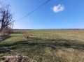Продава ПАРЦЕЛ, с. Игнатовци, област Габрово, снимка 4
