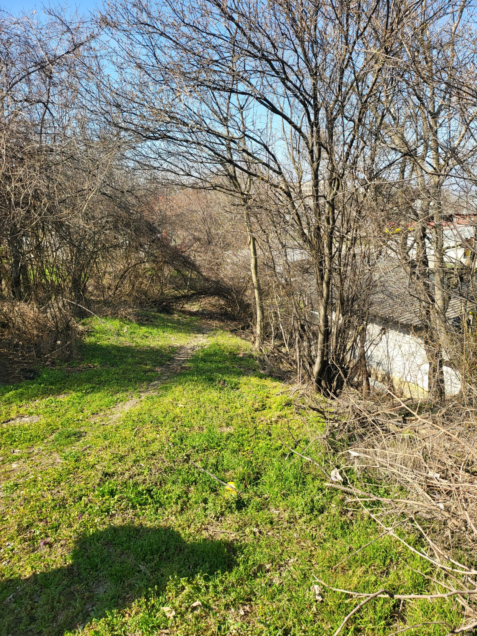 ������� ���� | Imot.bg � ����������� 10