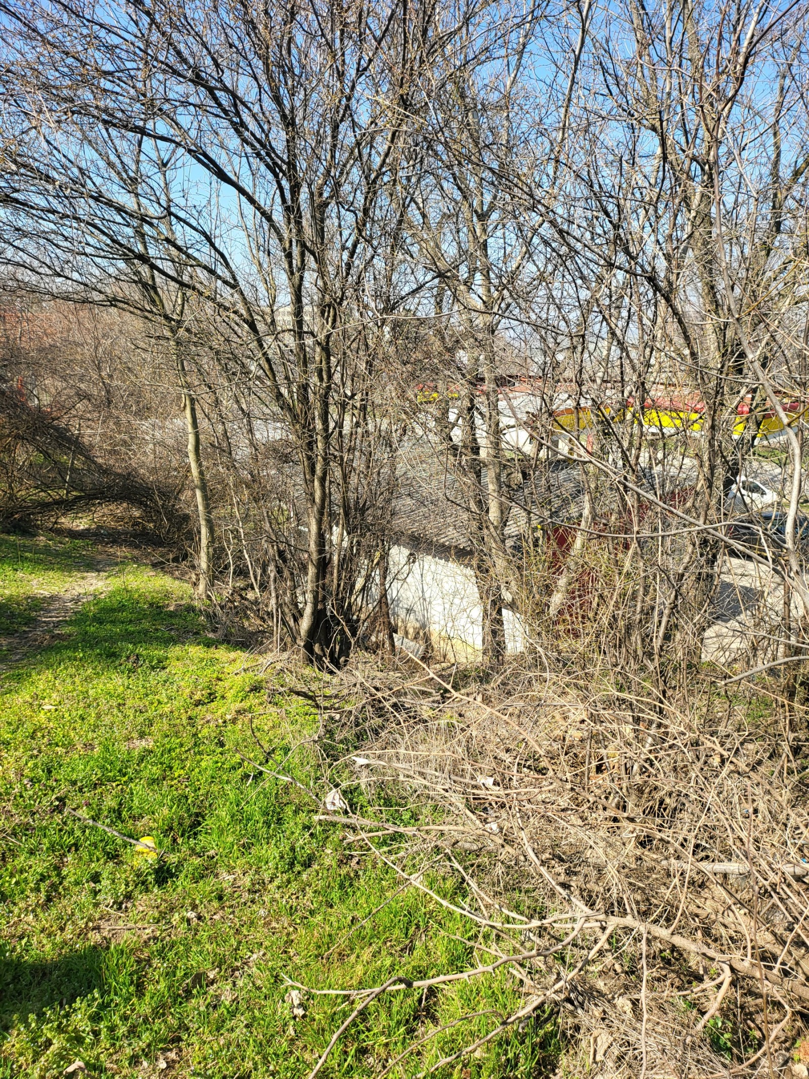 Продава КЪЩА, с. Згалево, област Плевен, снимка 10 - Къщи - 54081925